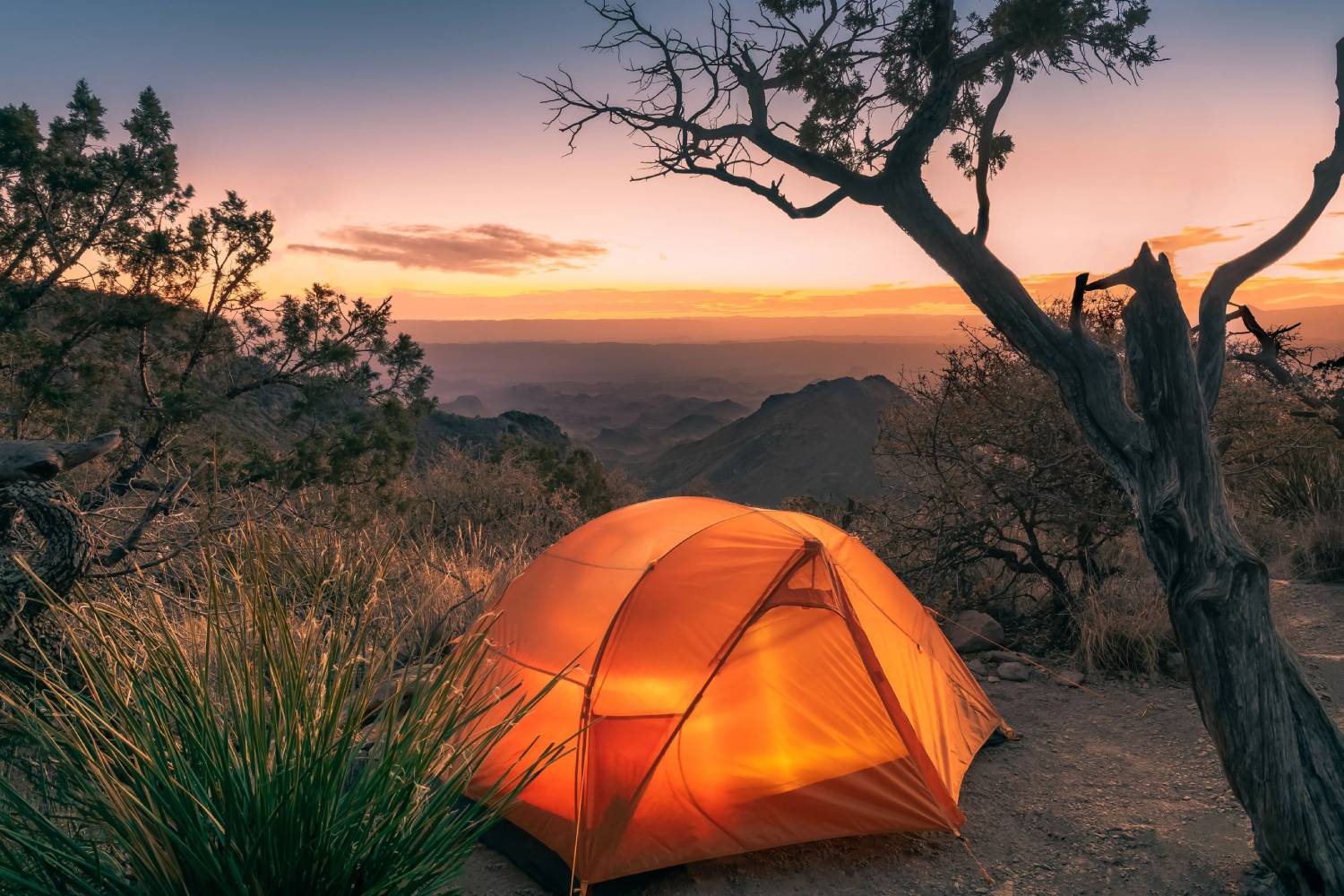 guest enjoy camping
